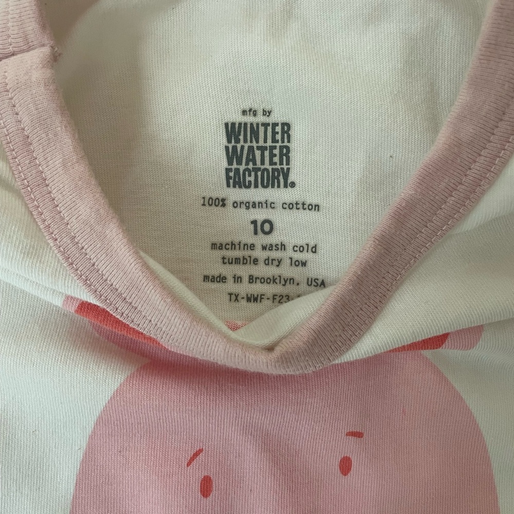 Winter Water Factory Pig Ringer T-Shirt - Picture 2 of 4